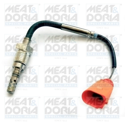 Sensor, exhaust gas temperature